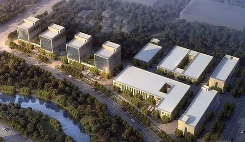 专业宠物益生菌领头者 小宠第六代肠胃宝焕新上市